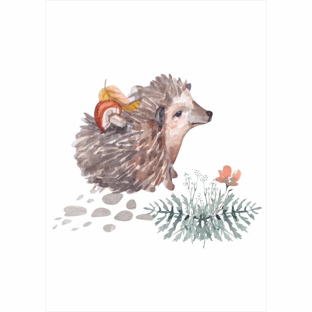 Plakat dla dzieci jeżyk na leśnej ścieżce PS001