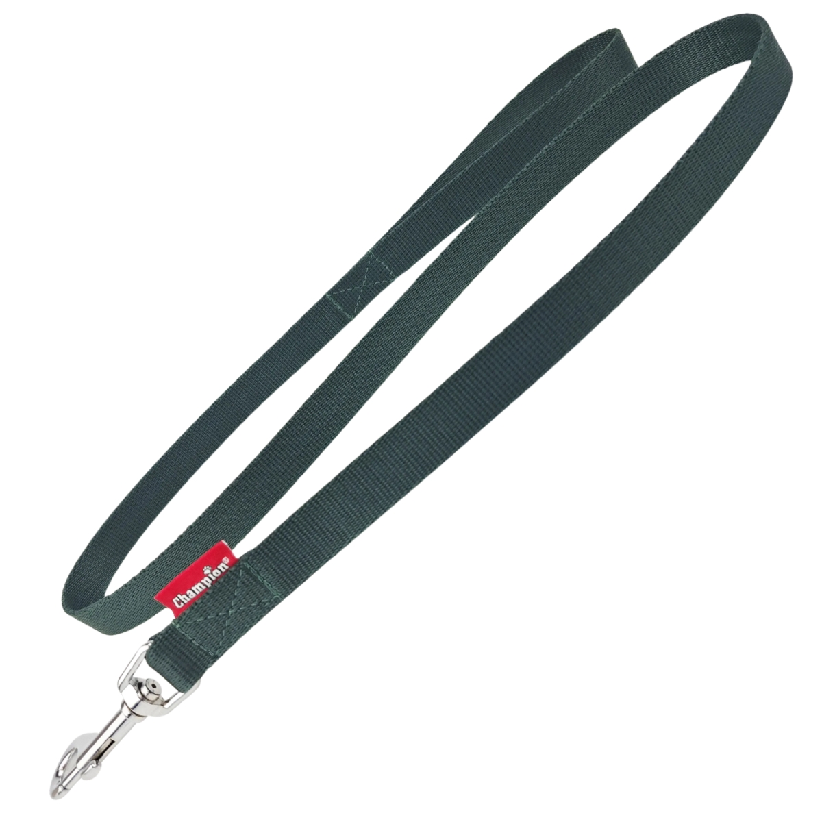 Smycz dla psa prosta Champion taśmowa - 20 m x 1,6 cm - Zielona