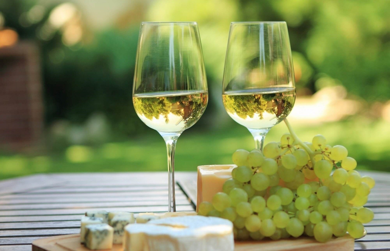 Image of Degustacja wina i wizyta w winnicy dla Dwojga