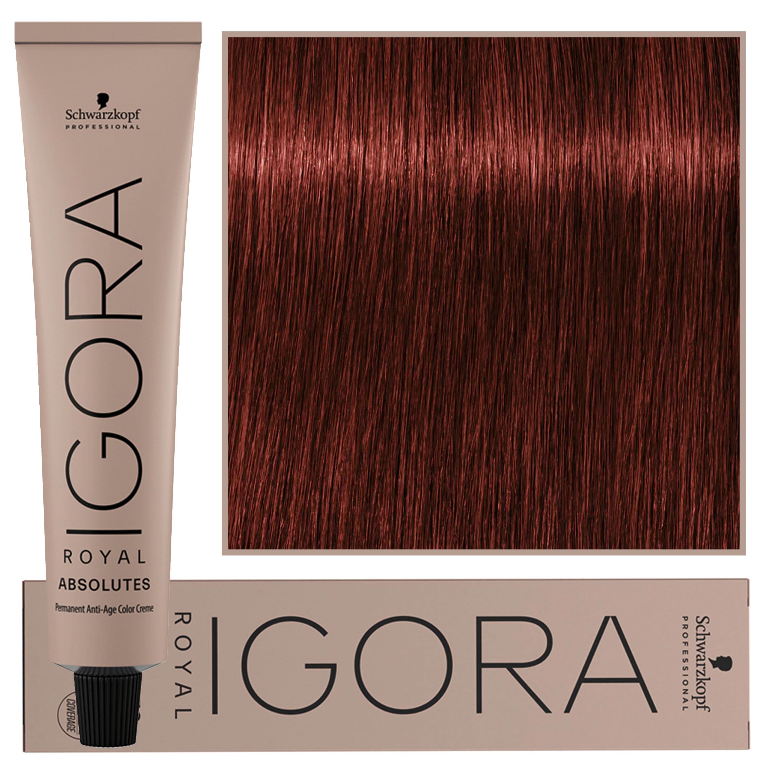 Image of Schwarzkopf Professional Igora Royal Absolutes - trwała farba do włosów z kolagenem, 60ml 6-80 | Ciemny Blond Naturalny Czerwony