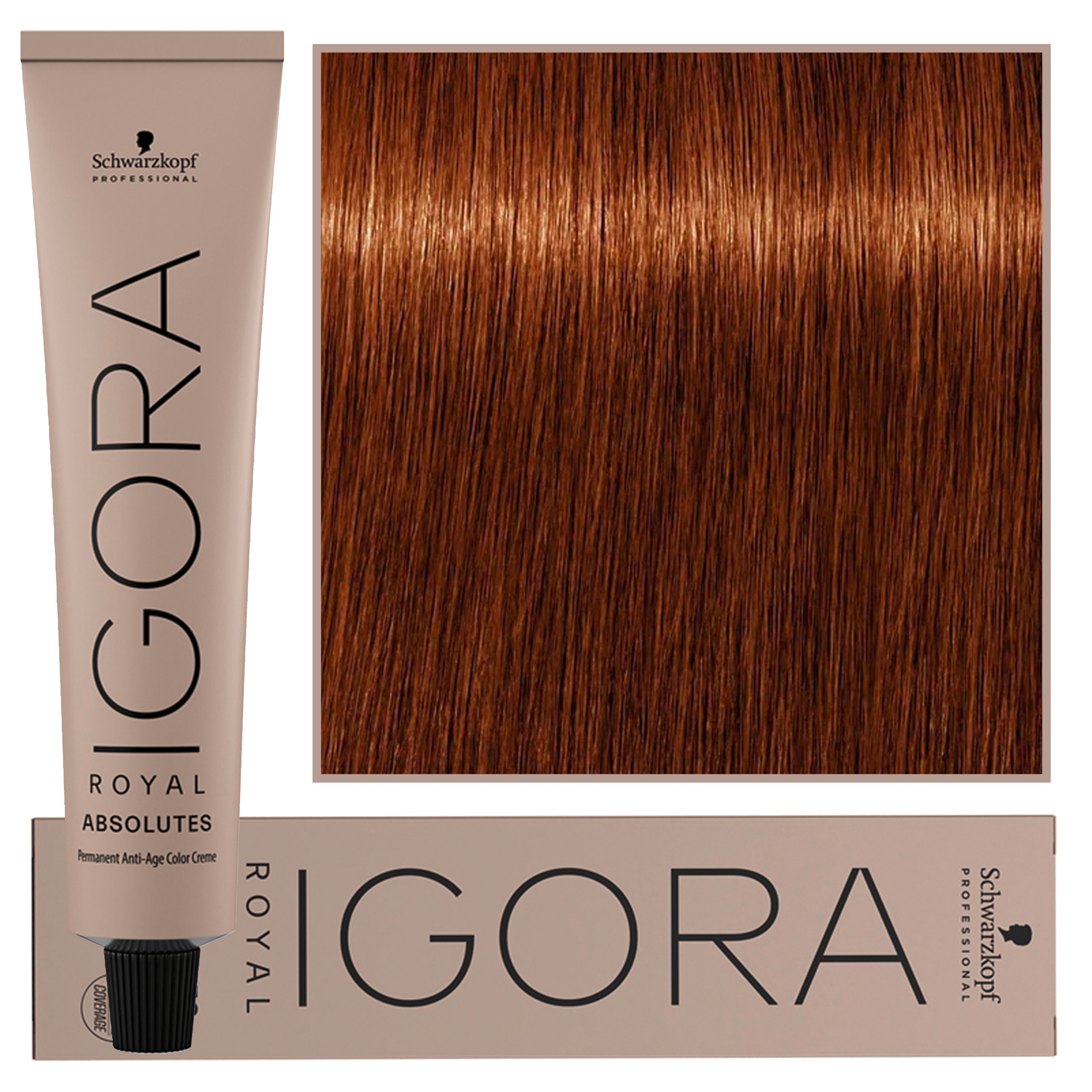 Image of Schwarzkopf Professional Igora Royal Absolutes - trwała farba do włosów z kolagenem, 60ml 6-70 | Ciemny Blond Miedziany Naturalny