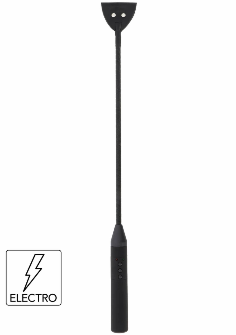 HIDDEN DESIRE Electro Shock Riding Crop bat z elektroimpulsami, regulacja intensywności, USB