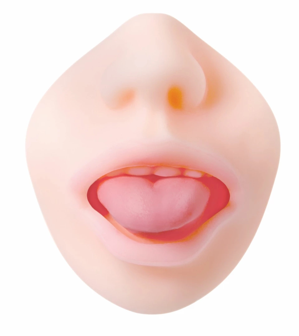 Evolved Real Mouth model anatomiczny – realistyczna powierzchnia TPE, otwarta konstrukcja, 16 cm