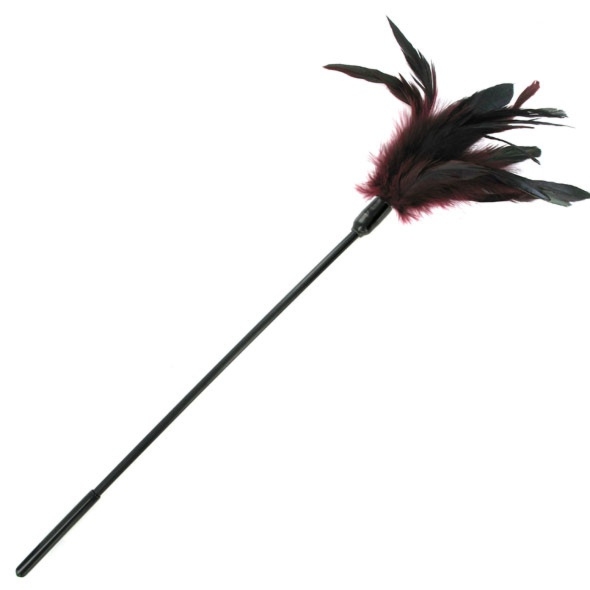 SexShop - Sportsheets Starburst Tickler – Miotełka z piórkami do fantazji erotycznych śliwkowa - online