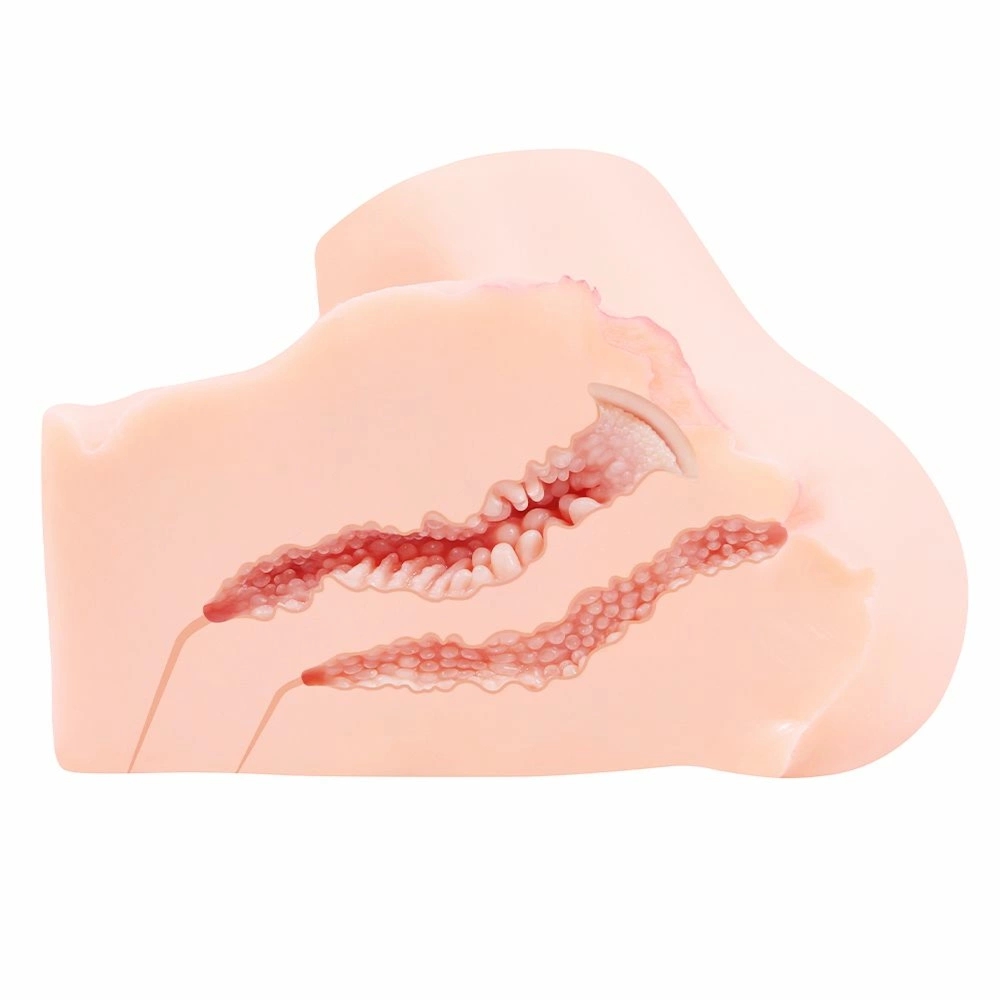 Kokos Onahole model anatomiczny TPE, realistyczna tekstura skóry, płaska podstawa