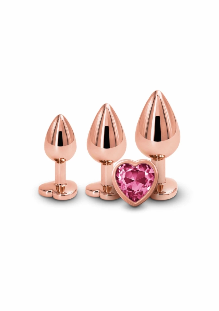 Rear Assets Trainer Kit Heart NS Novelties – zestaw 3 chromowanych modeli anatomicznych z sercem, różne rozmiary