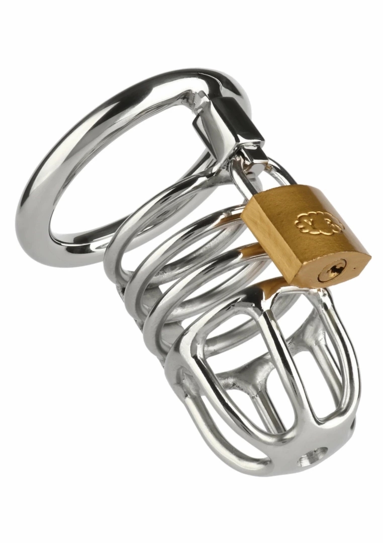 Mr. Steel Master Chastity Cock Cage stalowy system blokujący, srebrny, wentylowany