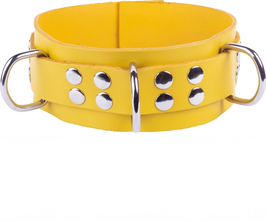 Red Leather Skórzana Obroża Regulowana Żółta 38-52 cm, metalowe okucia