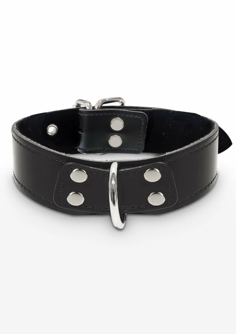 TABOOM Elegant D-Ring Collar regulowany kołnierz z welurową wyściółką, czarny