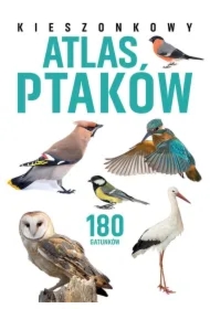 Kieszonkowy atlas ptaków. 180 gatunków