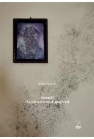 Notatki do odwróconych spojrzeń