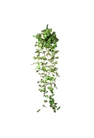 Dekoracja terrarystyczna wisząca roślina średnia 22*8*62cm