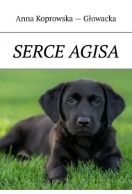 Serce Agisa