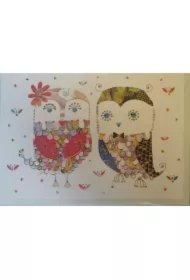 Karnet B6 + koperta Sowy MO5859