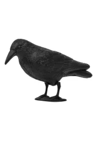 Odstraszacz ptaków kruk