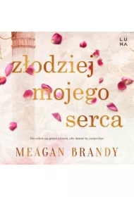 Złodziej mojego serca