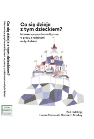 Co się dzieje z tym dzieckiem? Interwencje psychoanalityczne w pracy z rodzinami z małymi dziećmi