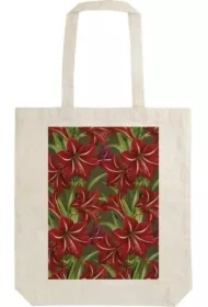 Torba bawełniana STBAG 66 Gwiazda Betlejemska