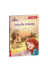 HORSE CLUB. Imię dla źrebaka