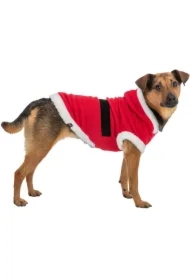 Płaszczyk Xmas Mikołaj, XS: 30cm: 40 cm, czerwony