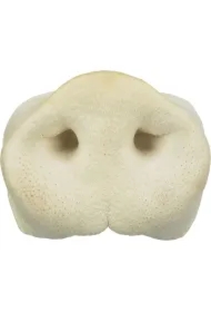 Suszone świńskie nosy