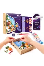 Okto Zestaw do kreatywności i dekoracji. Succulents