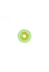 Cekiny tęczowe T 20 zielony