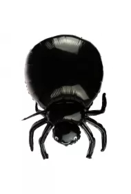 Balon foliowy mega pająk