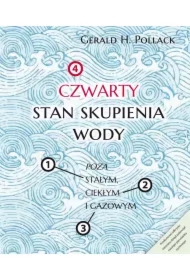 Czwarty stan skupienia wody. Poza stałym, ciekłym i gazowym