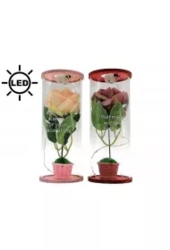 Róża w tubie LED MIX