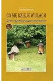 Co się dzieje w ulach