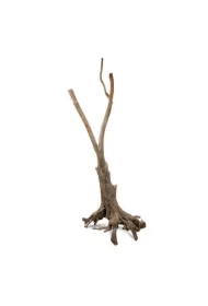Korzeń Twist Wood Root 50-200 cm