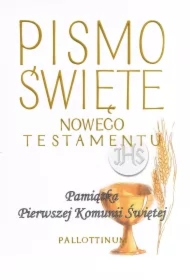 Pismo Święte Nowego testamentu (mały format 01)