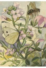 Karnet ST470 B6 + koperta Łąka