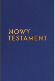 Nowy Testament z infografikami 14x19,5cm w.złota