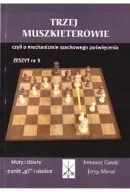 TRZEJ MUSZKIETEROWIE MURY I DZIURY PUNKT G7