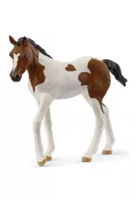 Źrebak rasy Paint Horse