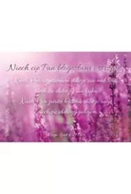 Magnes na lodówkę - Niech Ci błogosławi ŁĄKA