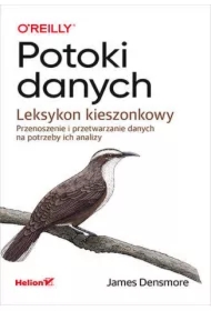 Potoki danych. Leksykon kieszonkowy. Przenoszenie i przetwarzanie danych na potrzeby ich analizy