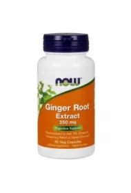 Ginger Root Extract - Wyciąg z korzenia imbiru 250 mg  Suplement diety
