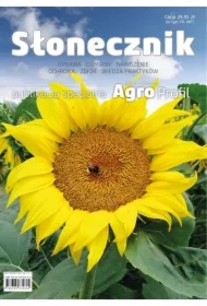 Słonecznik &ndash; uprawa, odmiany, nawożenie, ochrona, zbiór