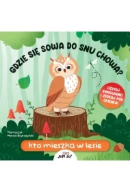 Gdzie się sowa do snu chowa? Kto mieszka w lesie