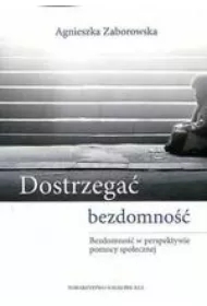 Dostrzegać bezdomność. Bezdomność w perspektywie pomocy społecznej