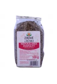 Niepokalanek Pospolity