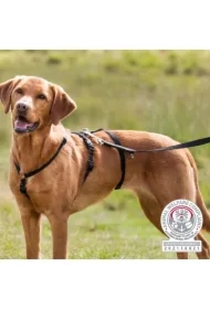 Szelki Stay, M&ndash;L: 50&ndash;75 cm/20 mm, czarne