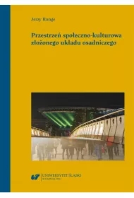 Przestrzeń społeczno-kulturowa złożonego układu...
