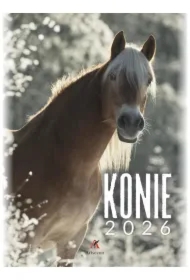 Kalendarz 2026 B4 wieloplanszowy Konie