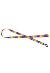 Smycz dla psa taśma Tęcza, 16mm/120cm