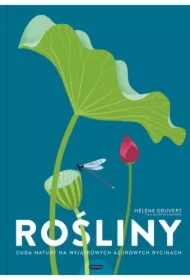 Rośliny. Cuda natury na wyjątkowych ażurowych rycinach