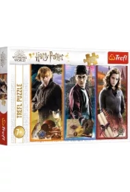 Puzzle 200 el. W świecie magii i czarów